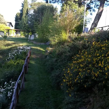 Apartman Flache Kornblume *
