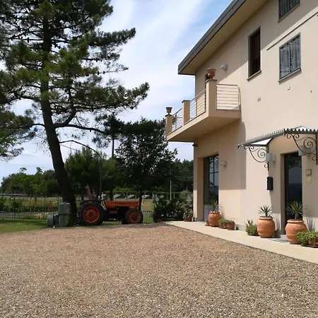 Flache Kornblume Apartman Terranuova Bracciolini